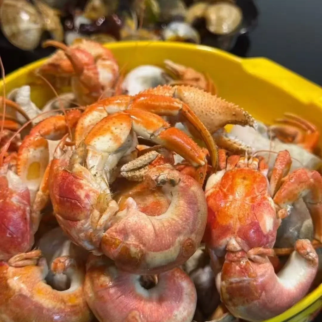 大连海洋岛特大虾怪寄居蟹（保鲜不保活）个别有沙婵运输中易破