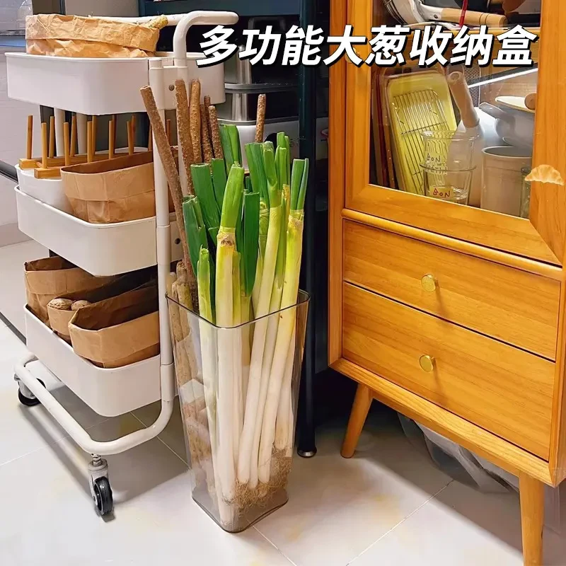 多功能大葱收纳盒铁棍山药透明收纳桶厨房姜蒜食材大容量CD盒
