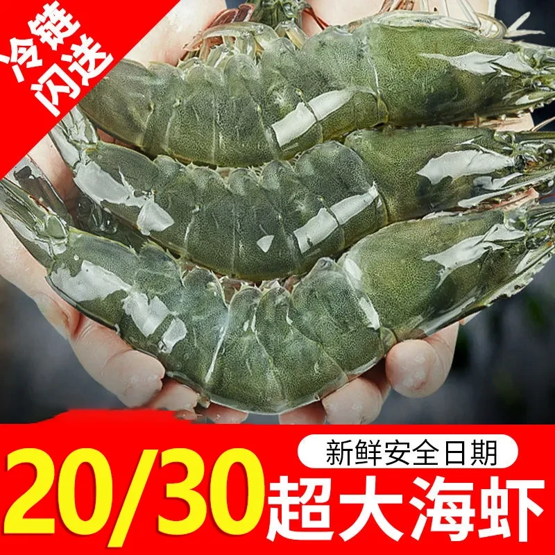 年夜饭必备 2030 特大号海洋海水大虾 活虾速冻锁鲜 冷链发货