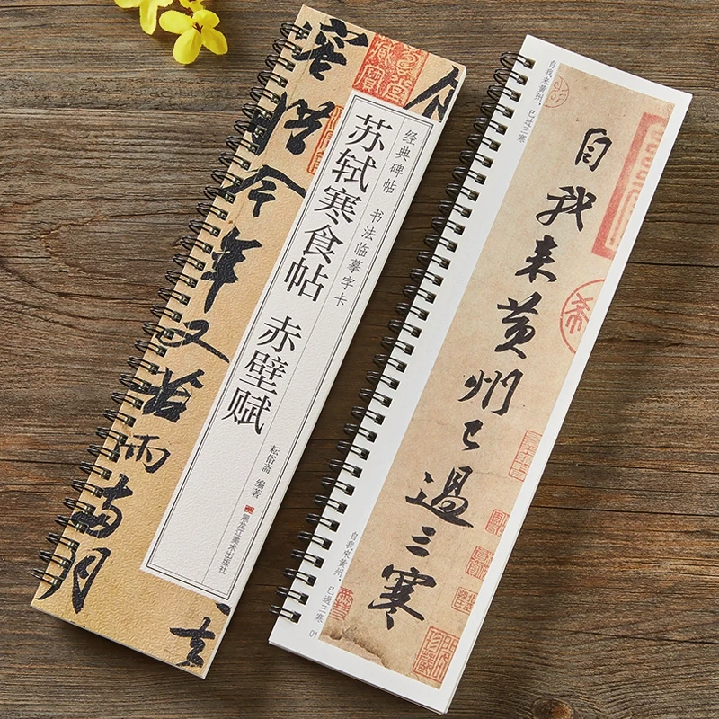 苏轼寒食帖赤壁赋碑帖近距离临摹字卡原大版原帖行书毛笔练字帖