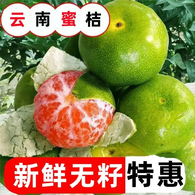 云南无籽蜜橘孕妇新鲜水果当季橘子柑橘桔子蜜桔整箱青绿皮