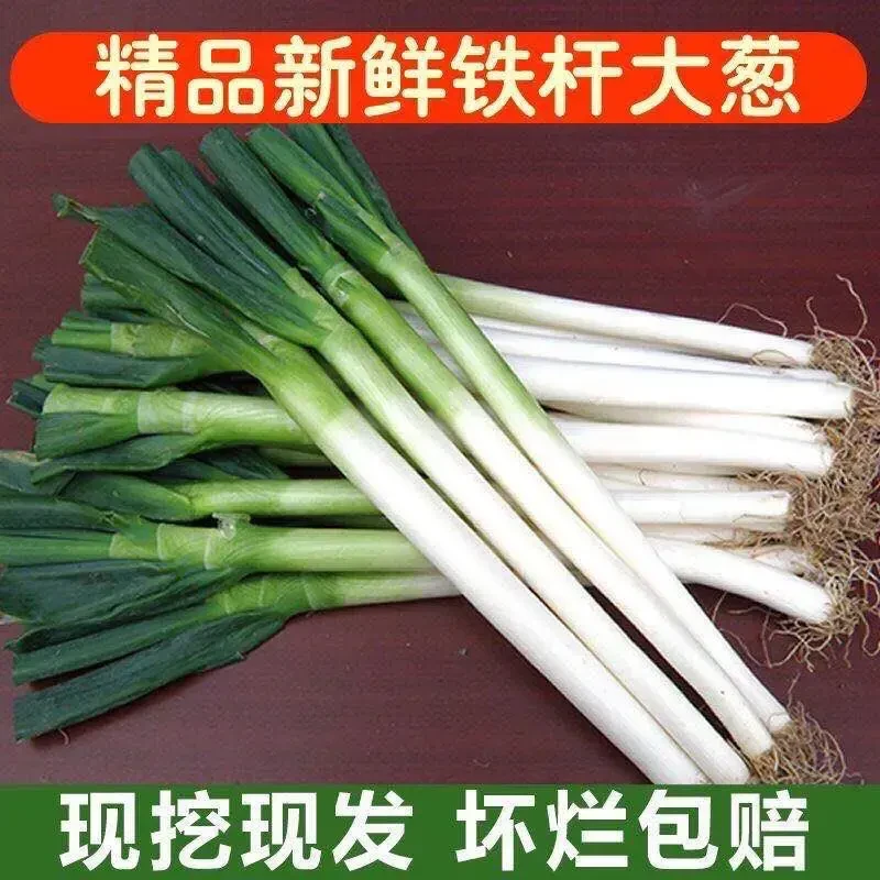 山东本地新鲜大葱现挖甜脆营养好吃健康速发