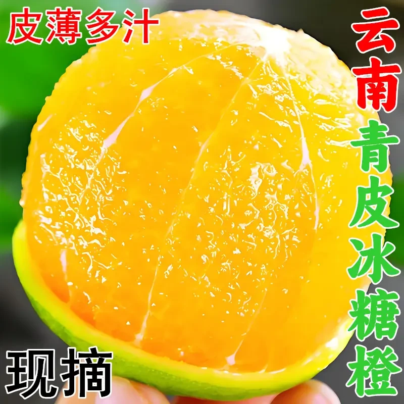 正宗云南青皮冰糖橙哀牢山新鲜应季水果5斤现摘皮薄多汁清甜可口