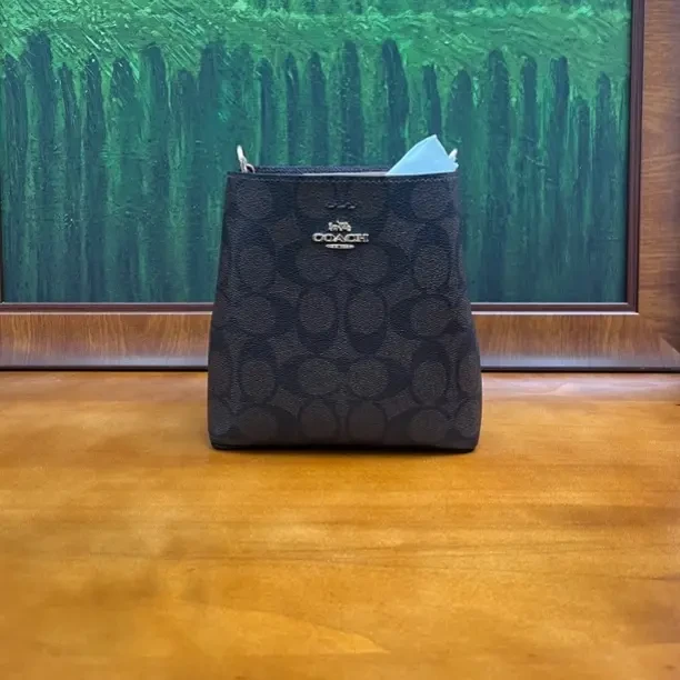 95新 COACH/蔻驰 单肩包/16*8*16/A114