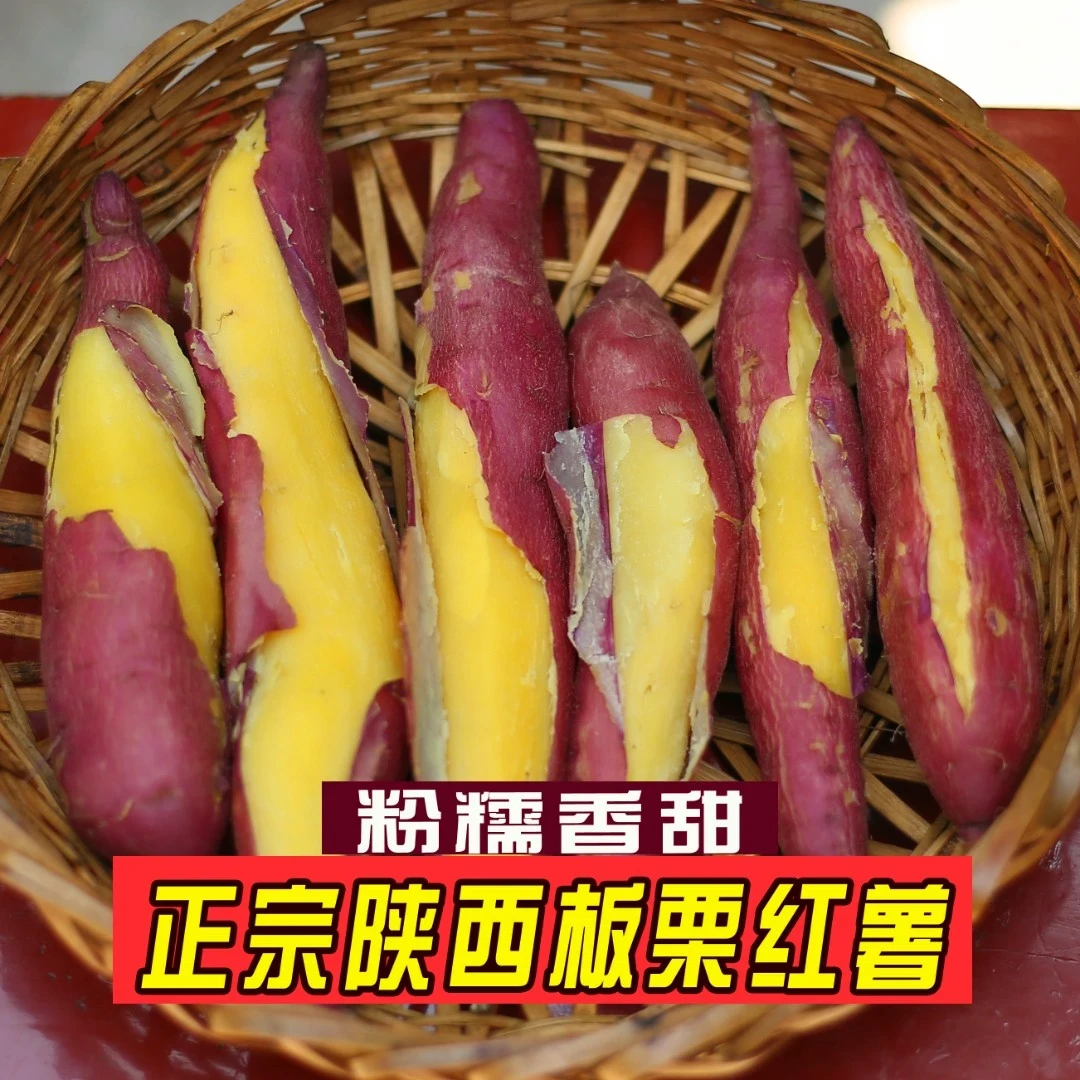 陕西板栗薯新鲜现挖干面红薯无丝无筋粗粮沙地红蜜薯带箱5斤地瓜