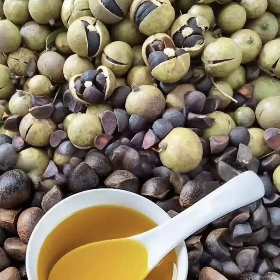 深山正宗野生小茶籽油