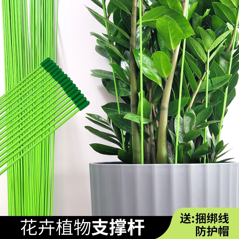 尚虞 金钱树支撑杆蝴蝶兰蔬菜瓜果爬藤专用花架园艺防倒伏植物固