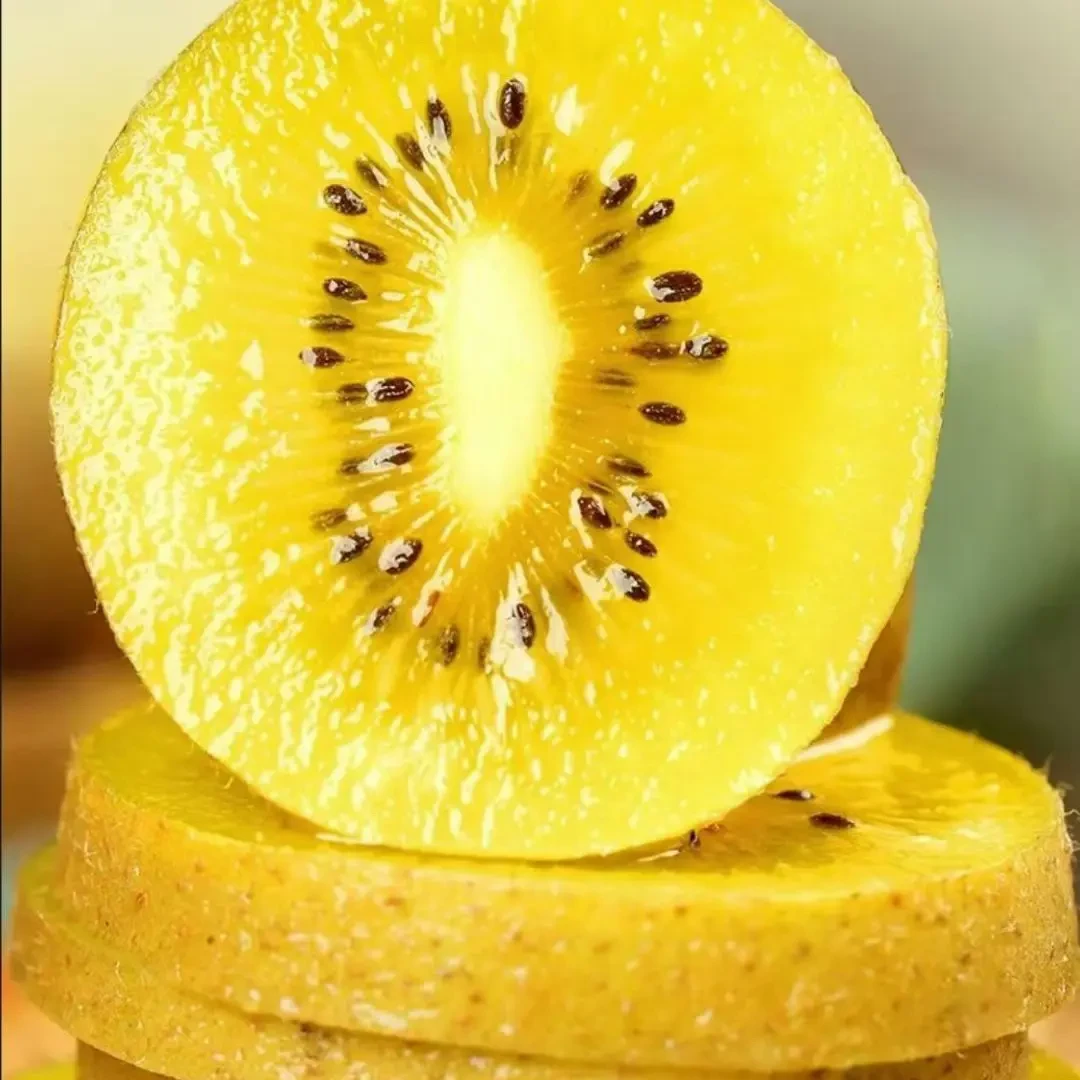 超大果 海螺沟黄心猕猴桃 当季新鲜水果 整箱包邮
