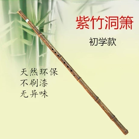 萧乐器初学入门短萧零基础萧古萧长萧紫竹箫古风洞箫八孔g调f调