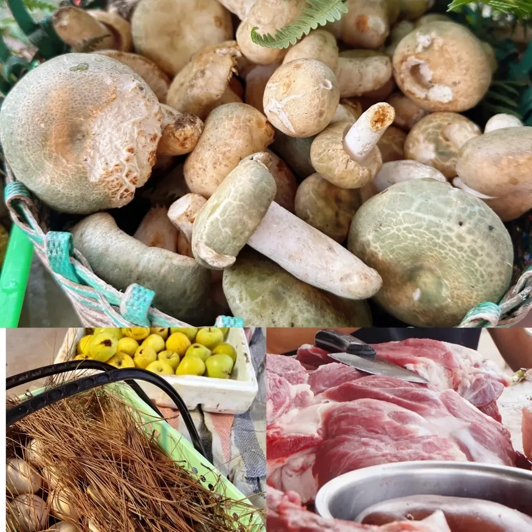 香菇临时链接-（非香菇）