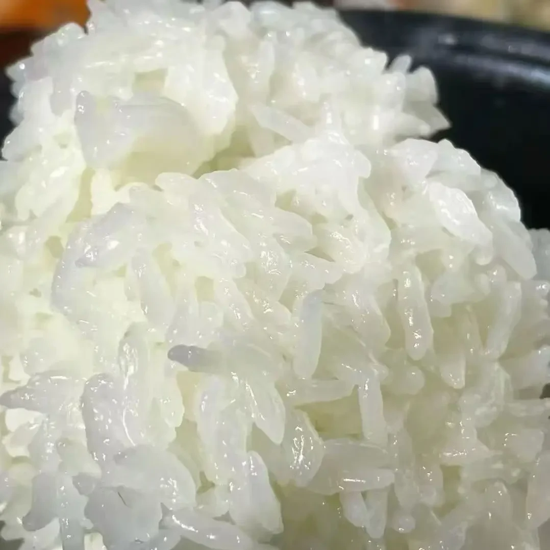 东北五常大米2025年新米优质一等品