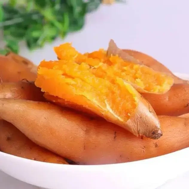 新鲜现挖粉糯甘甜沙地板栗红薯正宗美味