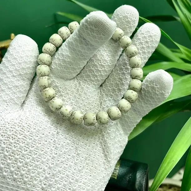 【瑾绣瑞盈夸年夜】原生态高密海南星月菩提sd010