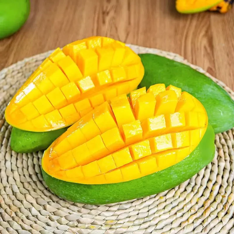 【正宗广西青皮金煌芒】应季新鲜采摘芒果水果大青芒催熟食用Y
