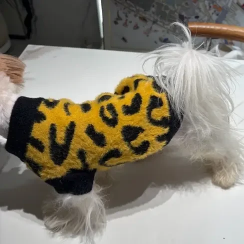 秋冬款宠物豹纹恐龙四脚衣服法兰绒泰迪比熊猫咪保暖用品