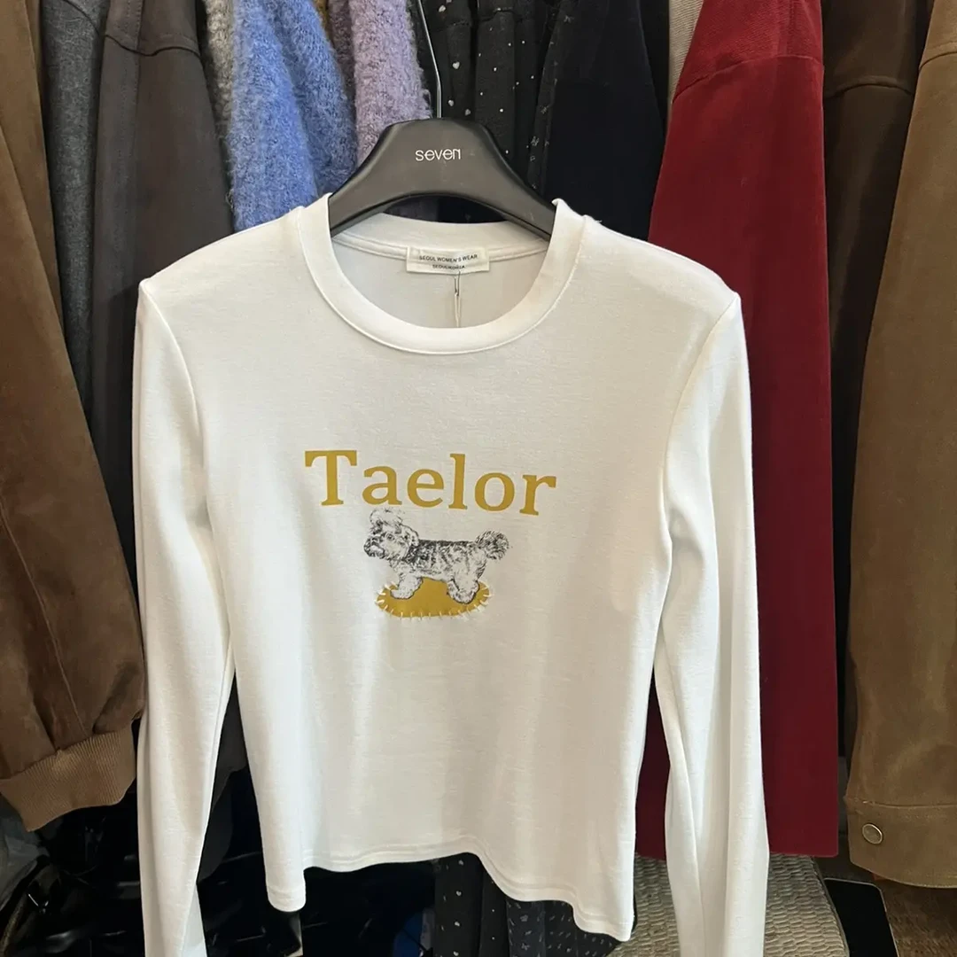 印花韩版刺绣T恤休闲风宽松型标准型长袖修身型圆领