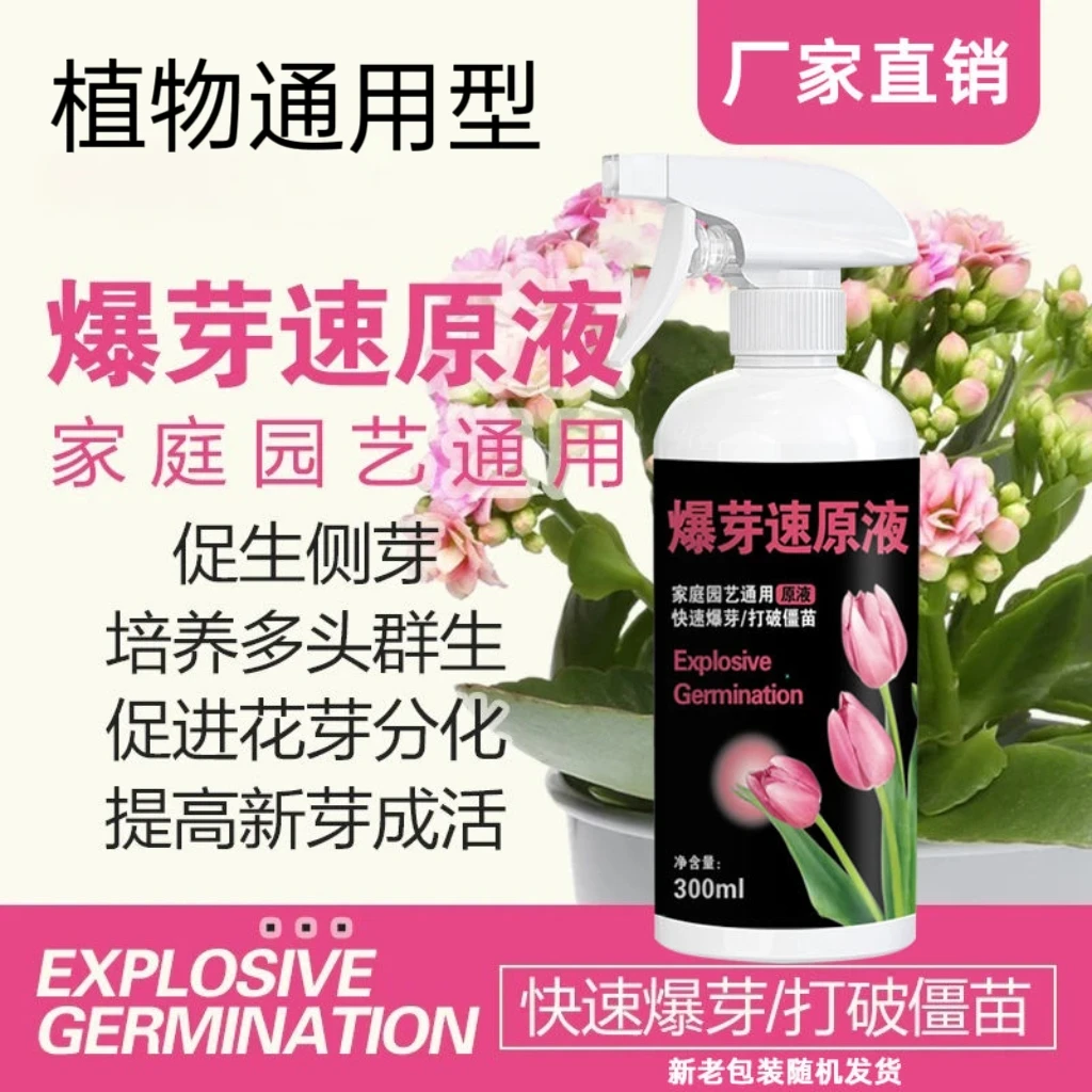 爆芽速原液植物多芽促芽催芽分化叶插花植物多肉绿植通用型液体肥