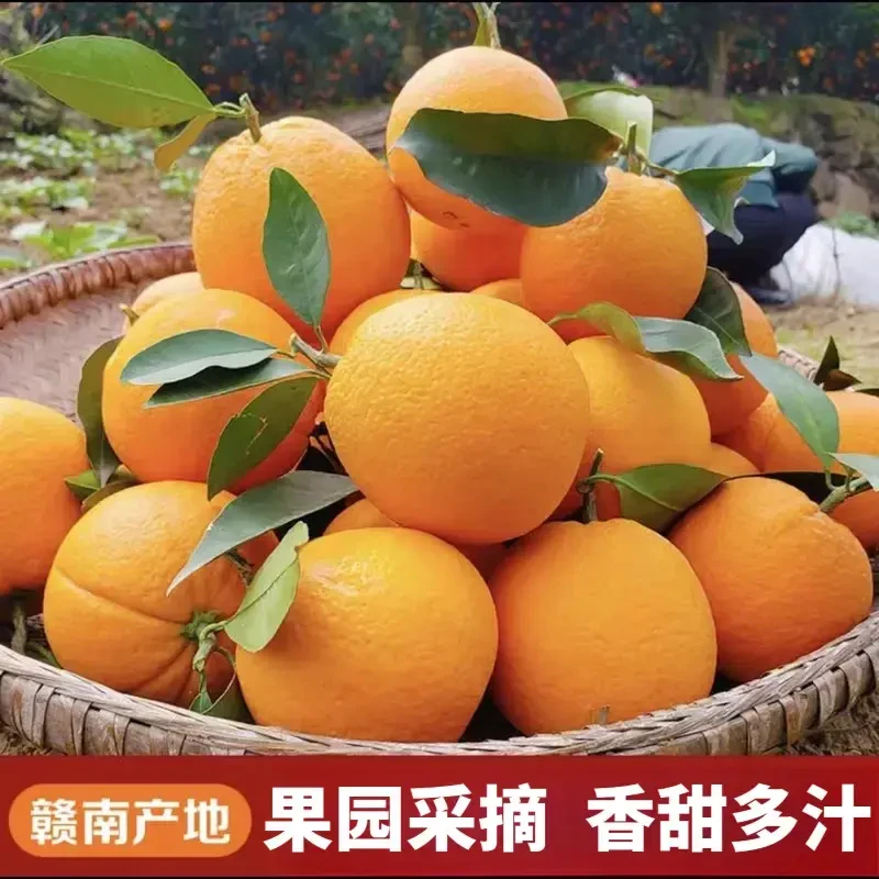 【10斤】正宗赣南脐橙沙糖桔现摘新鲜果香甜应季水果橙子香甜脐橙
