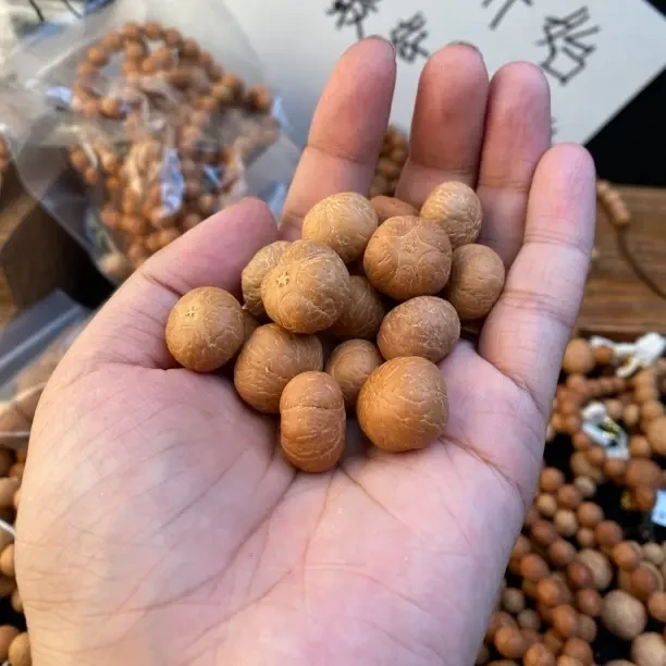 188尼泊尔五星炸车链接