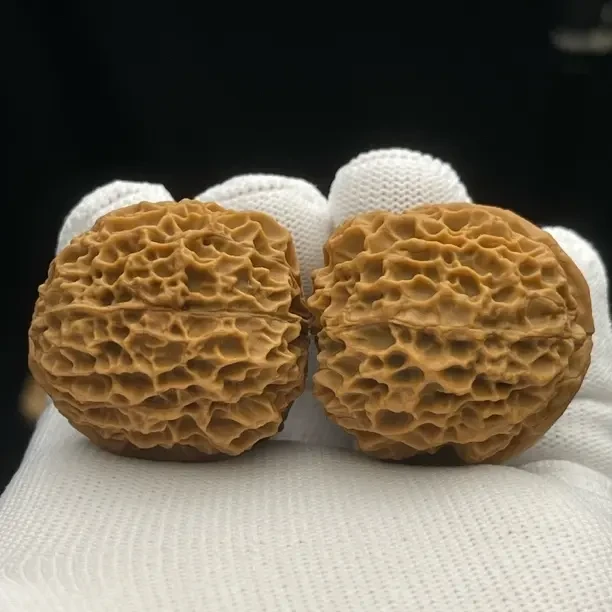 40mm臻龙绣球 一物一图 产地直发