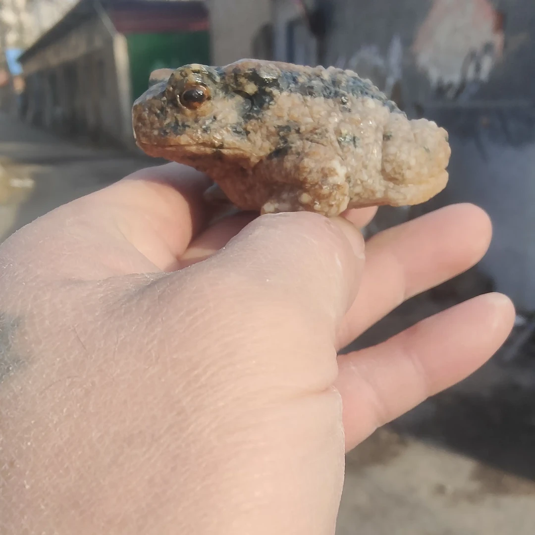 泰山石雕刻蟾蜍，可当摆件，手把件