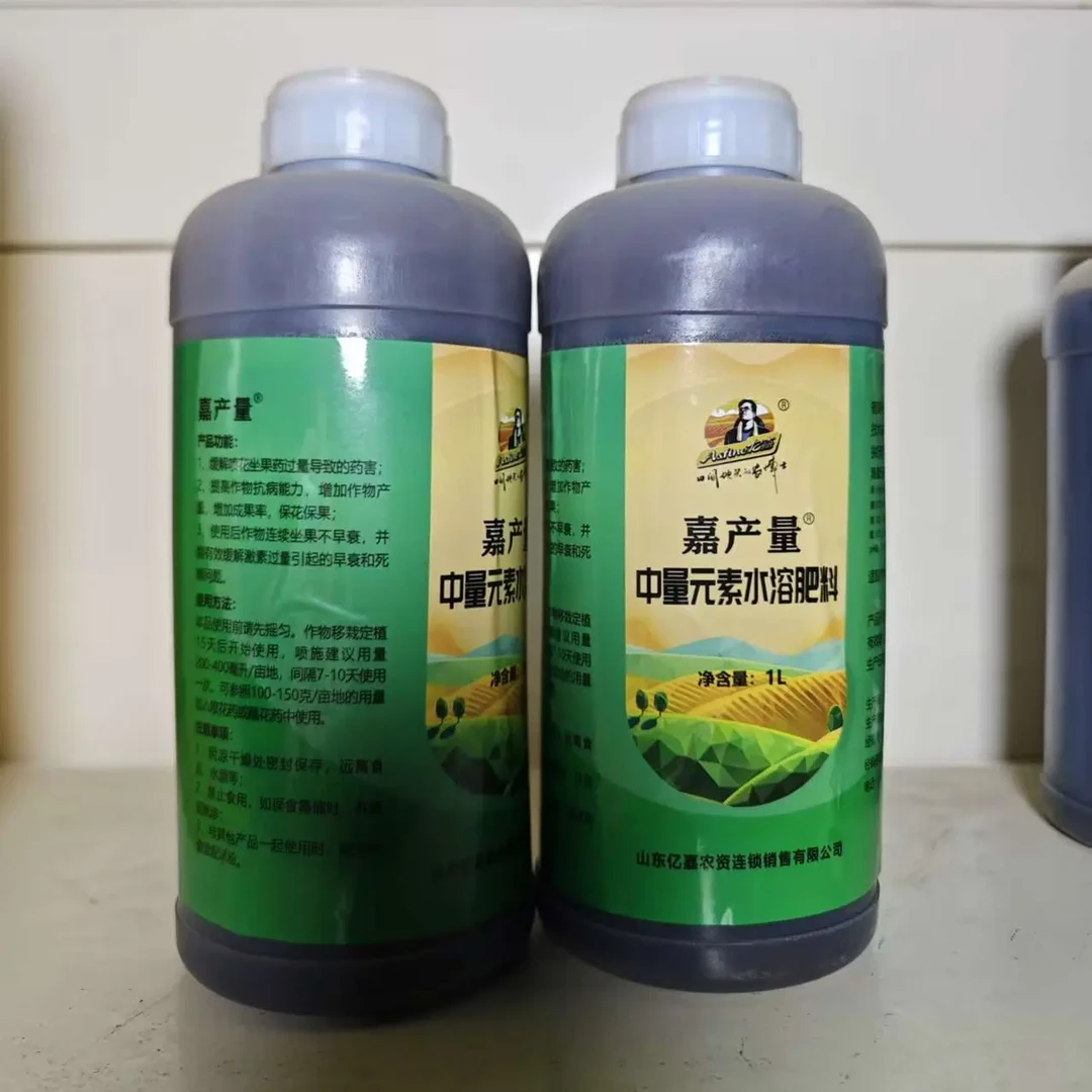 亿嘉嘉产量保花保果绿叶壮棵连续坐果不早衰