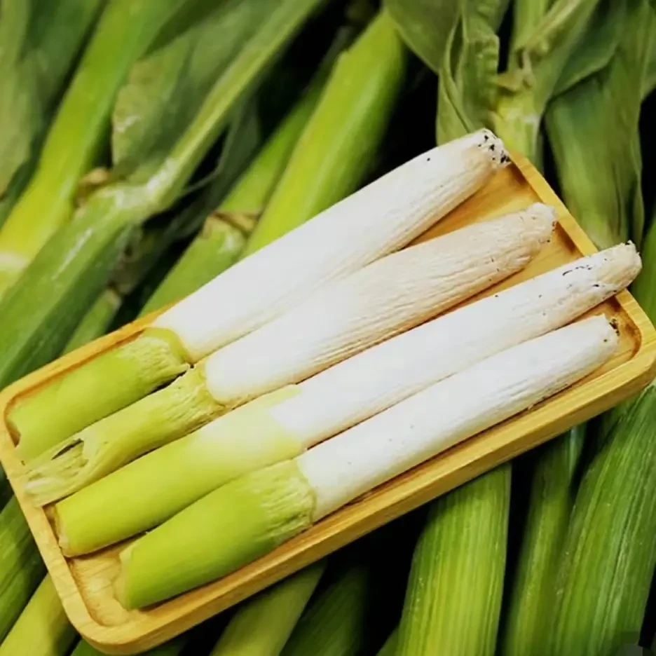 F01-【高粱乌米种子】四季种植盆栽地栽阳台小院种植