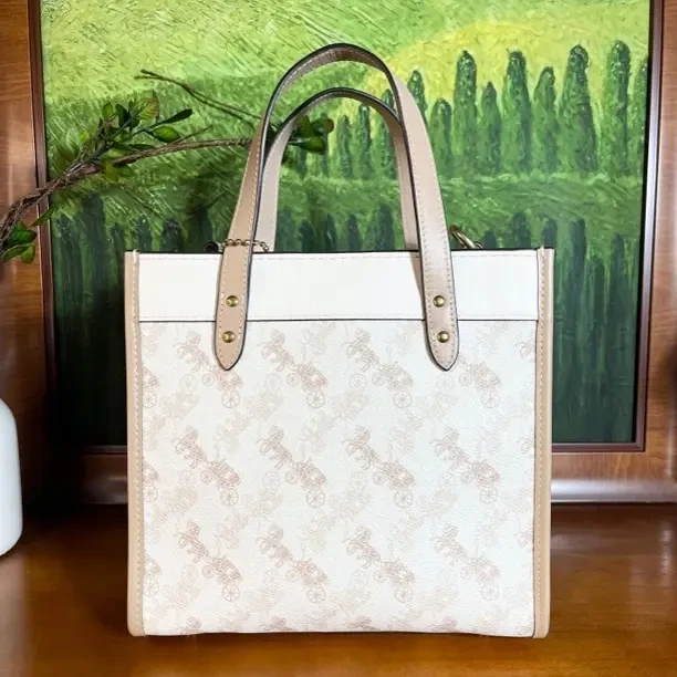 95新 COACH/蔻驰 单肩包/21*12*22/A508