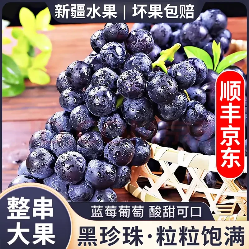 正宗新疆蓝莓葡萄新鲜现摘应季当季水果无籽蓝莓葡萄提子坏果包赔