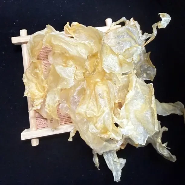 160头优质野生斗湖公胶厚肉胶质多营养滋补送礼佳选