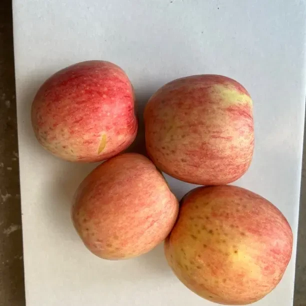 山东烟台微瑕疵甘红苹果新鲜脆甜多汁当季水果表皮毛孔稍微脆苹果