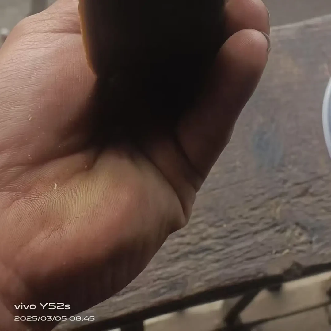 云南怒江贡山正宗纯野生手工高山漆油