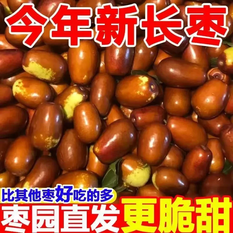 （顺丰送货上门）新鲜山西鸡心枣果肉饱满生吃脆甜蒸吃软糯