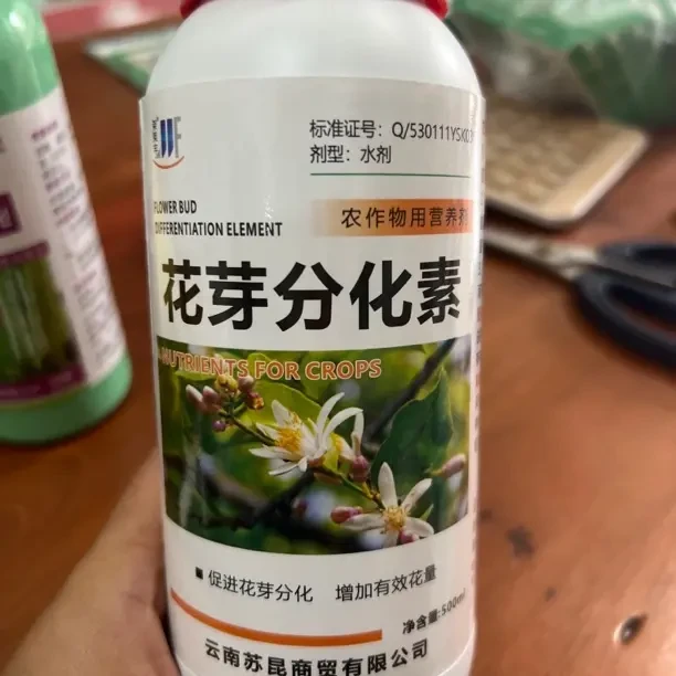 花多果多、促进花芽分化素、用了开花多