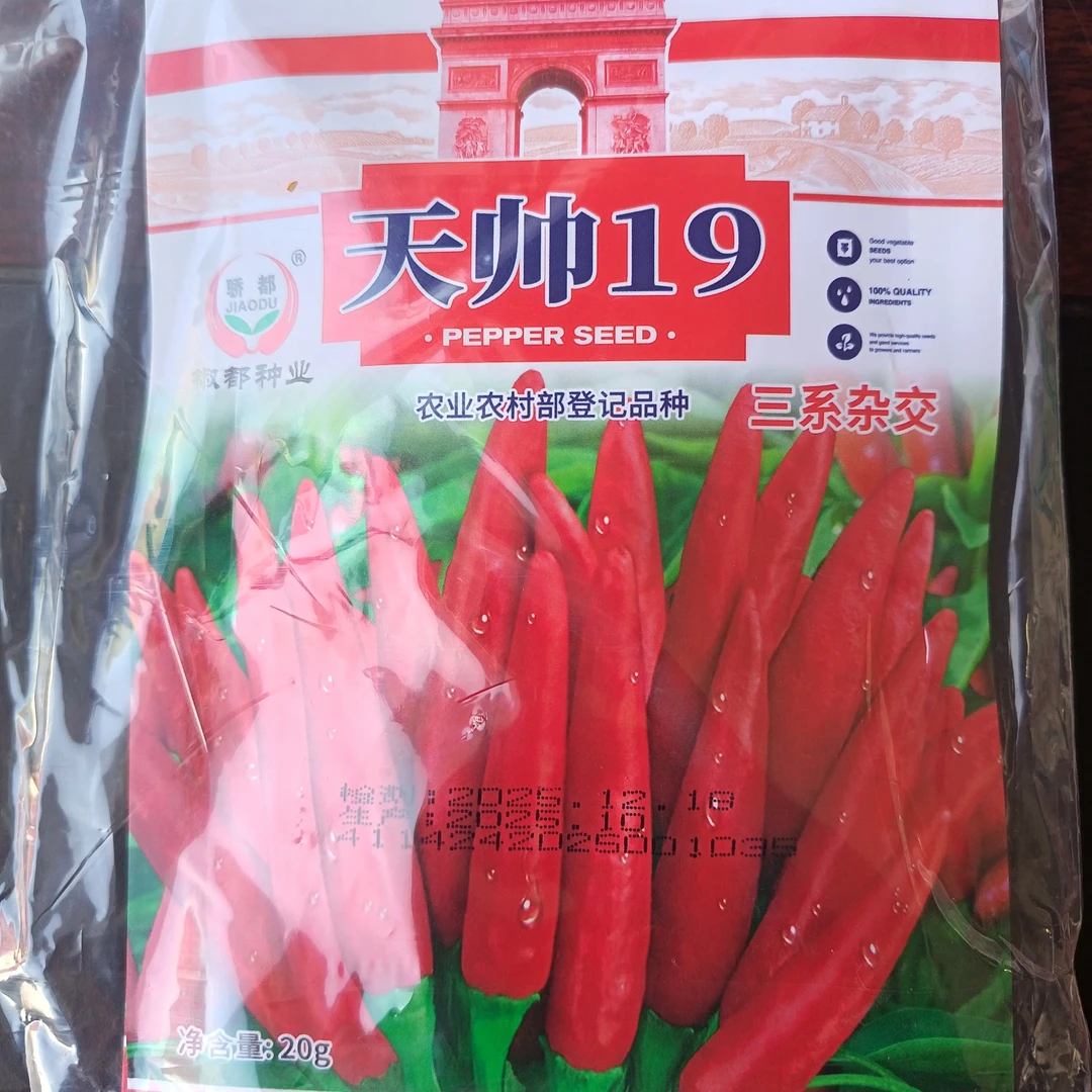 三系杂交，产量高，分叉多，抗病，抗重茬