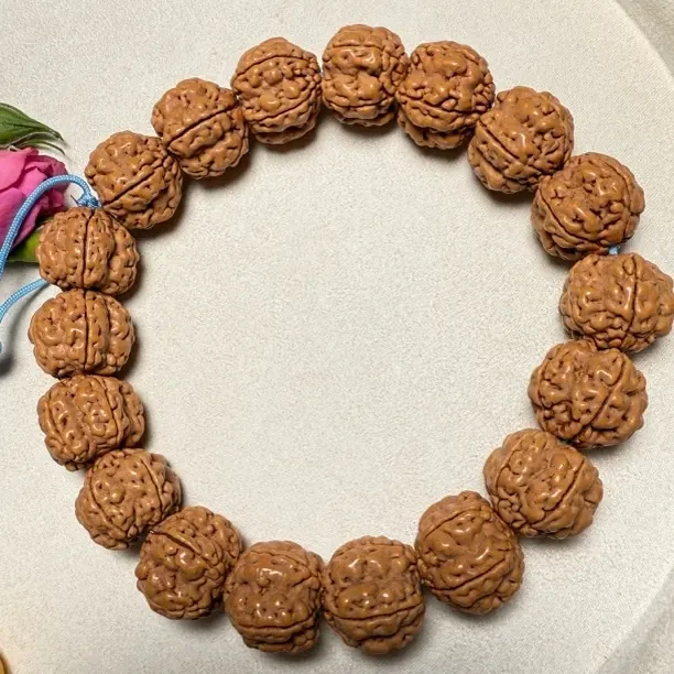 帝王花粗筋爆肉，3D立体梅花桩