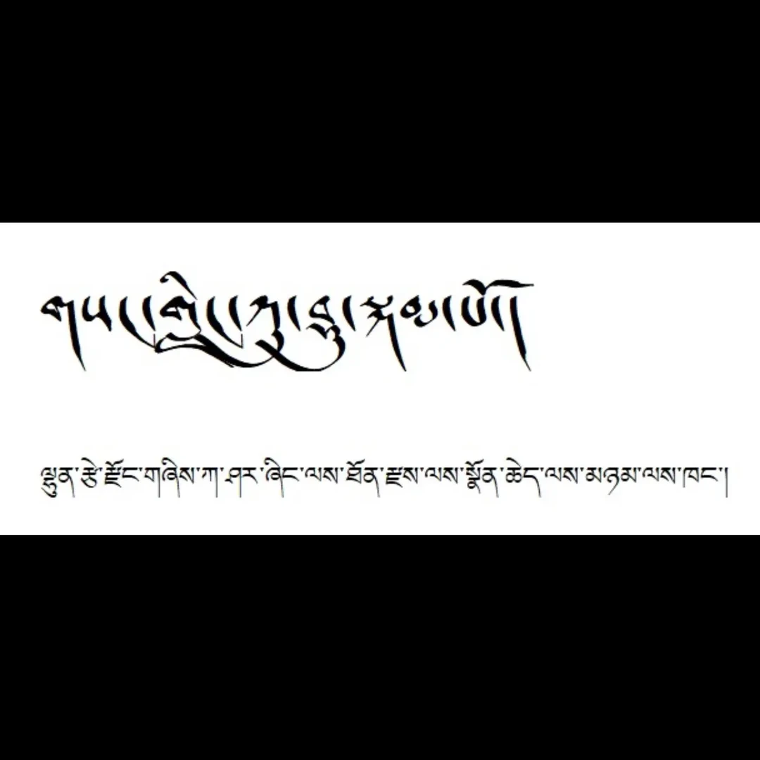 三林苹果（80） 只发西藏区内  5袋装