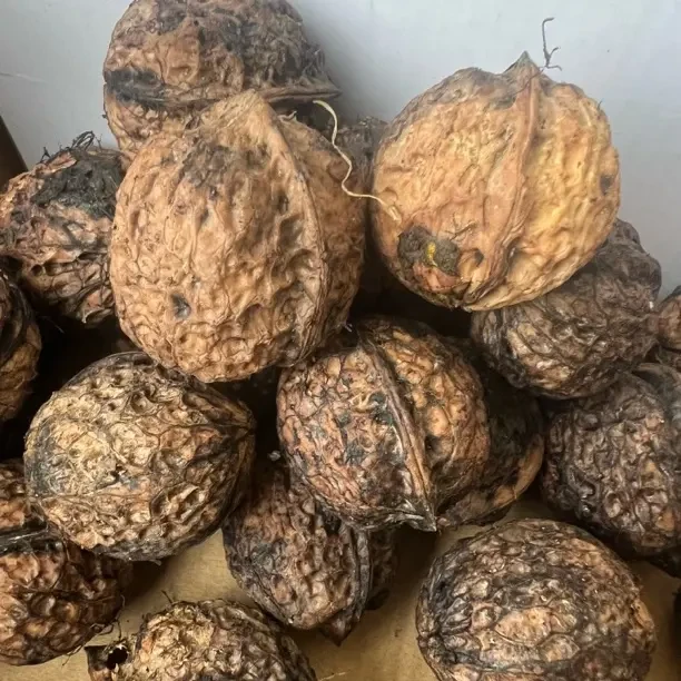 云南特产老树薄皮核桃不漂白原生态坚果