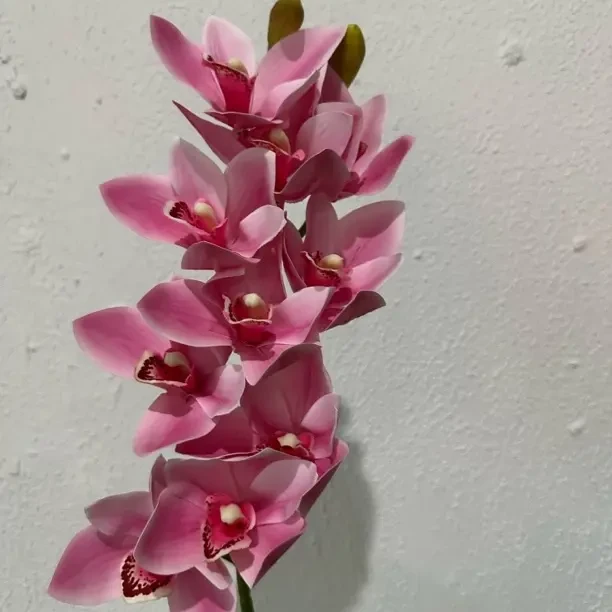 3d惠兰仿真惠兰家居装饰婚庆装饰花