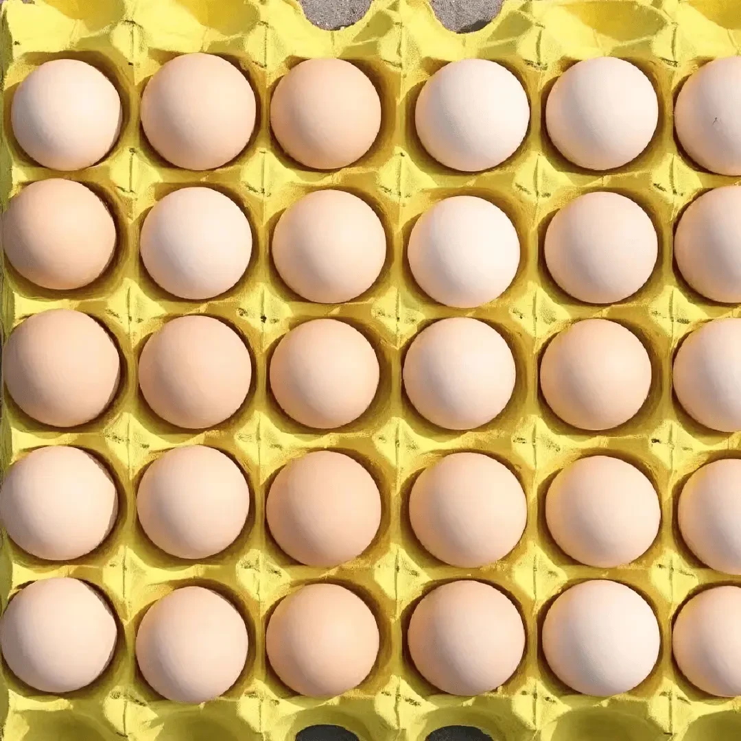 （40枚农村土鸡蛋）高山散养土鸡蛋生态土鸡蛋五谷杂粮放养土鸡蛋10