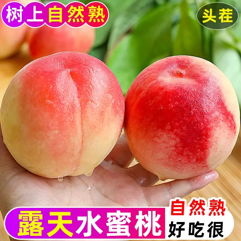 【现摘现发】山西水蜜桃新鲜当季应季时令桃甜多汁桃子脆甜软硬两吃