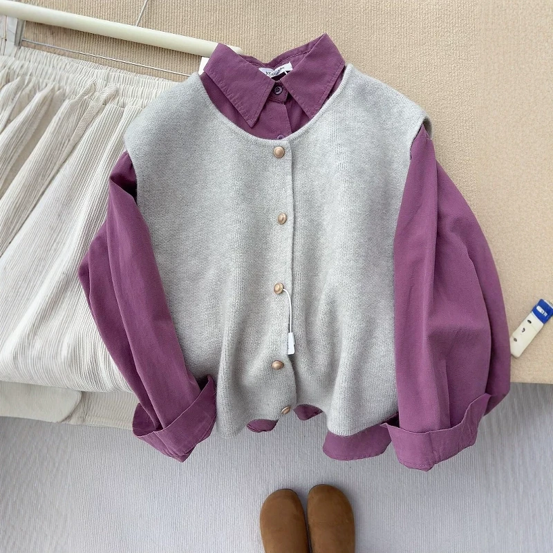 日韩简约通勤感叠穿一整套女2025年春季紫色翻领衬衫搭配针织马甲