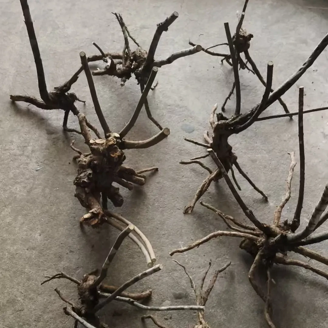 黄荆根雕，好货根雕