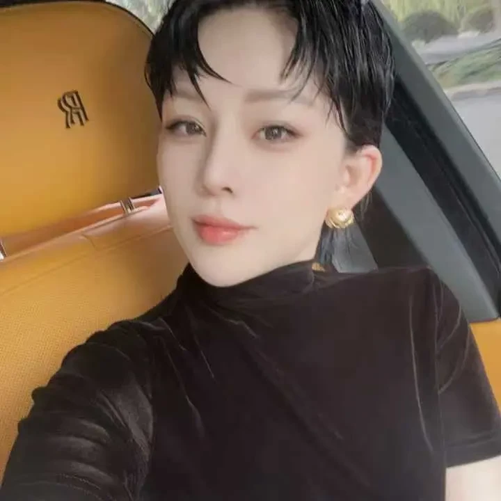 晶家秋季万人迷丝绒高领纯色短袖T恤舒适百搭高领上衣女