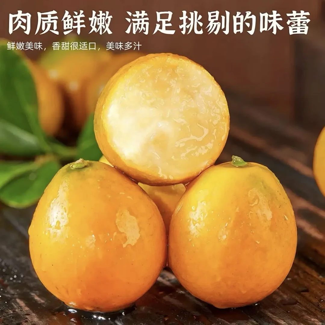 （精选礼盒）大凉山梦幻果园脆蜜金桔应季水果现摘现发