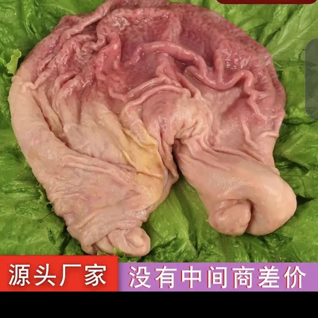 新鲜猪肚-里外清洗干净5斤顺丰包邮