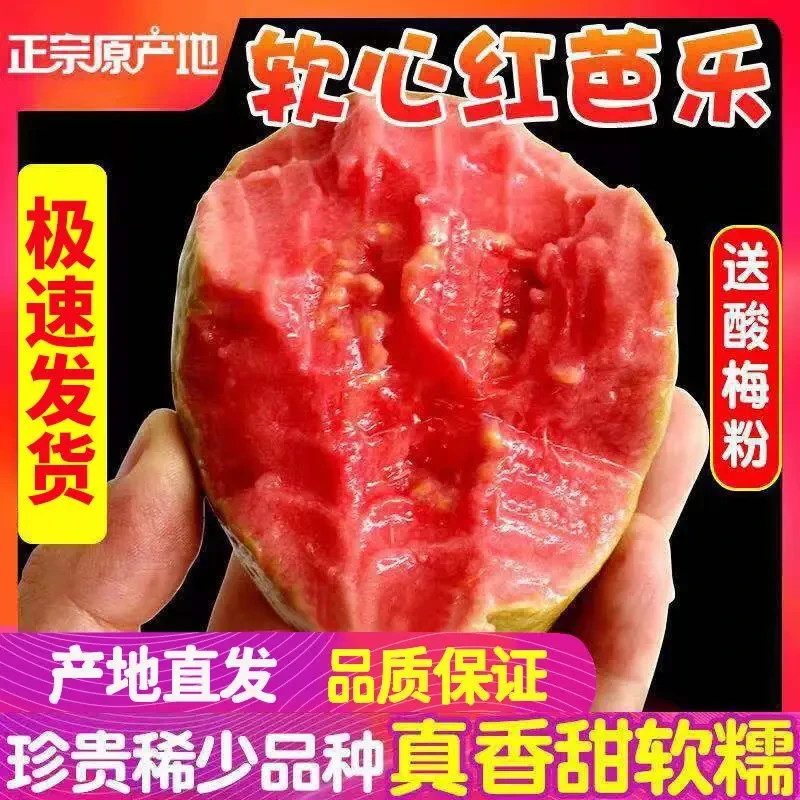 【香软大果】广西软心红心番石榴新鲜水果红心软芭乐净重3/4.5斤