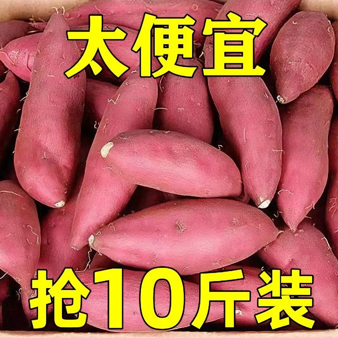 新鲜现挖沙地蜜薯10斤超甜烤红薯黄心番薯地瓜烟薯板栗薯蔬菜水果