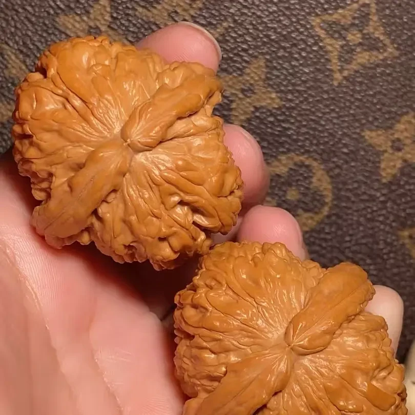 S137大肚球白狮子肚45边42高35.5一物一图