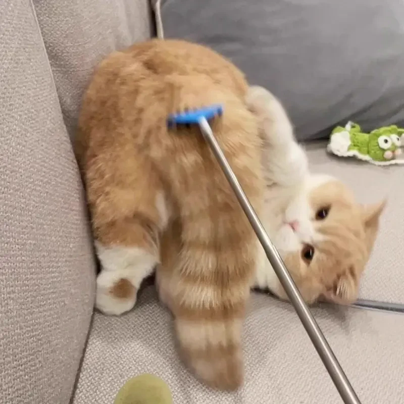 宠物痒痒挠猫咪狗互动逗猫棒猫犬通用多功能便携式可伸缩抓痒神j